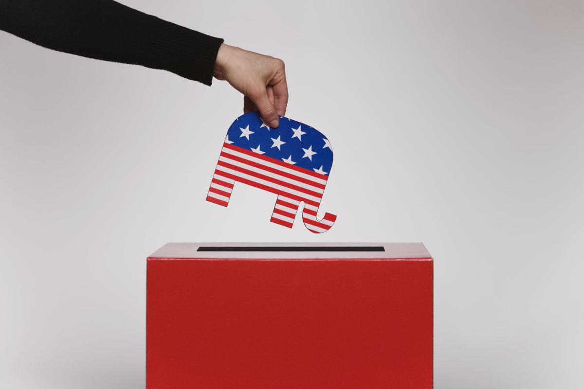 Voting with GOP elephant