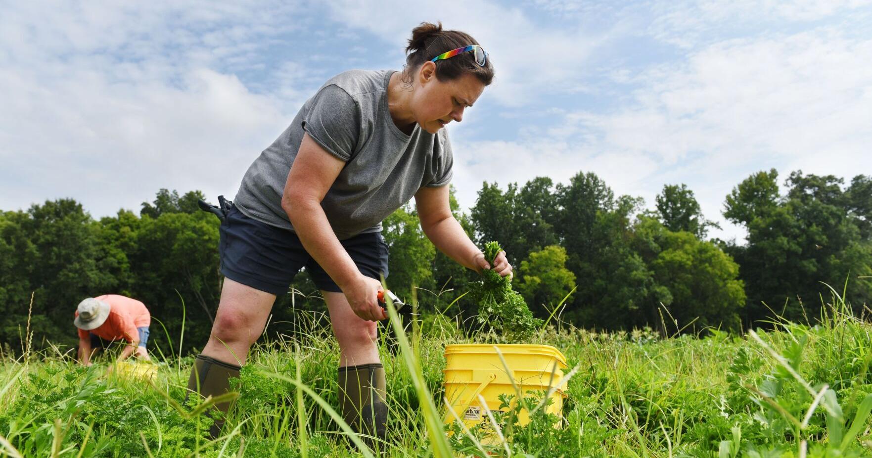Ministry education reimagined with Dinwiddie Sophia Farms - Vimarsana News