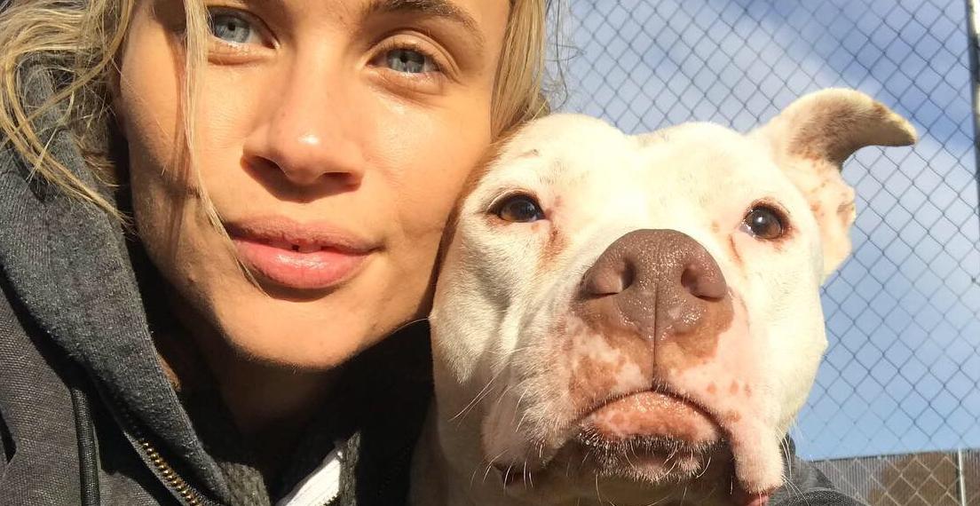 They Asked You Answered Heartsick Richmond Animal Shelter