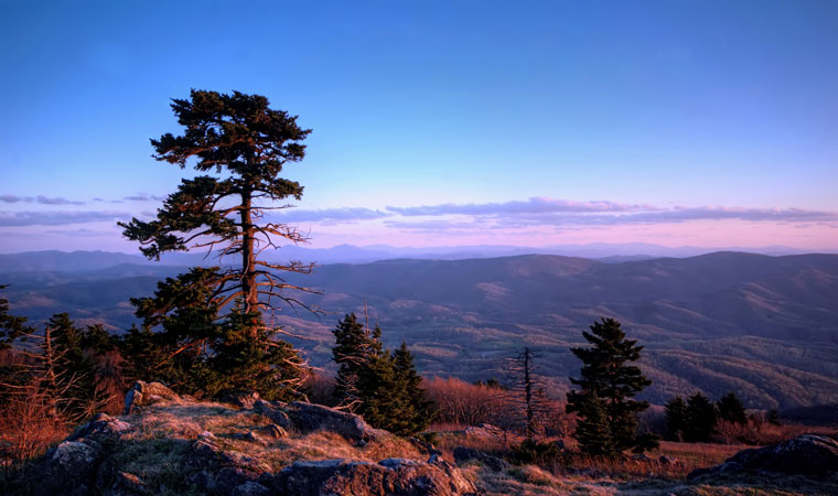 Virginia S Timeless Scenic Beauty Entertainment Richmond Com