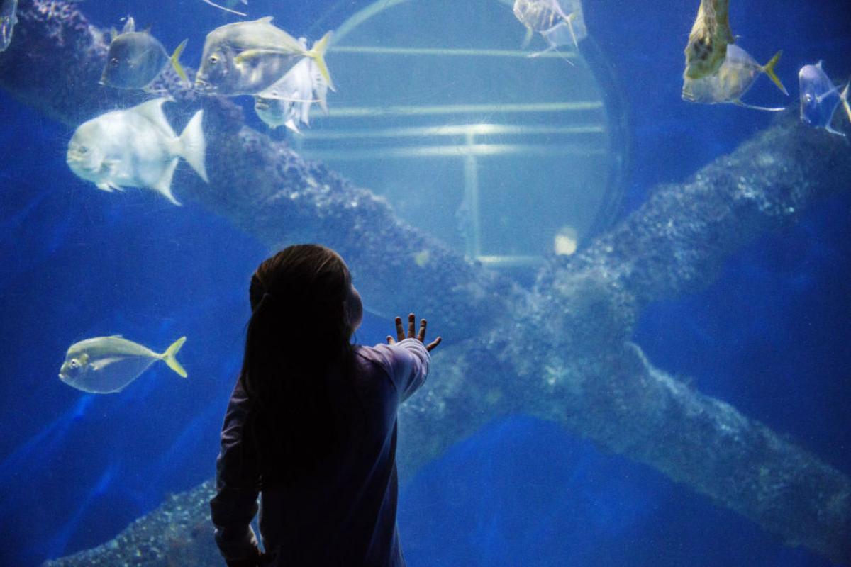 Mustdo summer events with kids