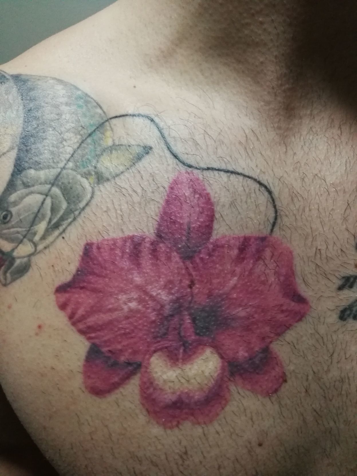 The Man with the Orchid Tattoo  inocentesabroad