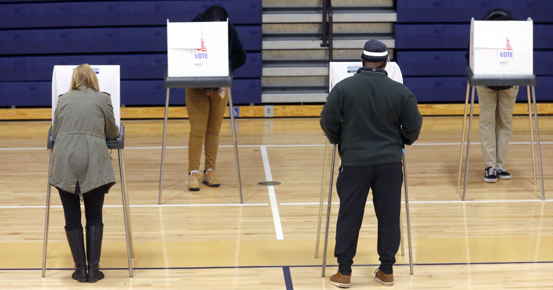 Virginia Voter Guide: Read up on candidates in your district - Vimarsana News