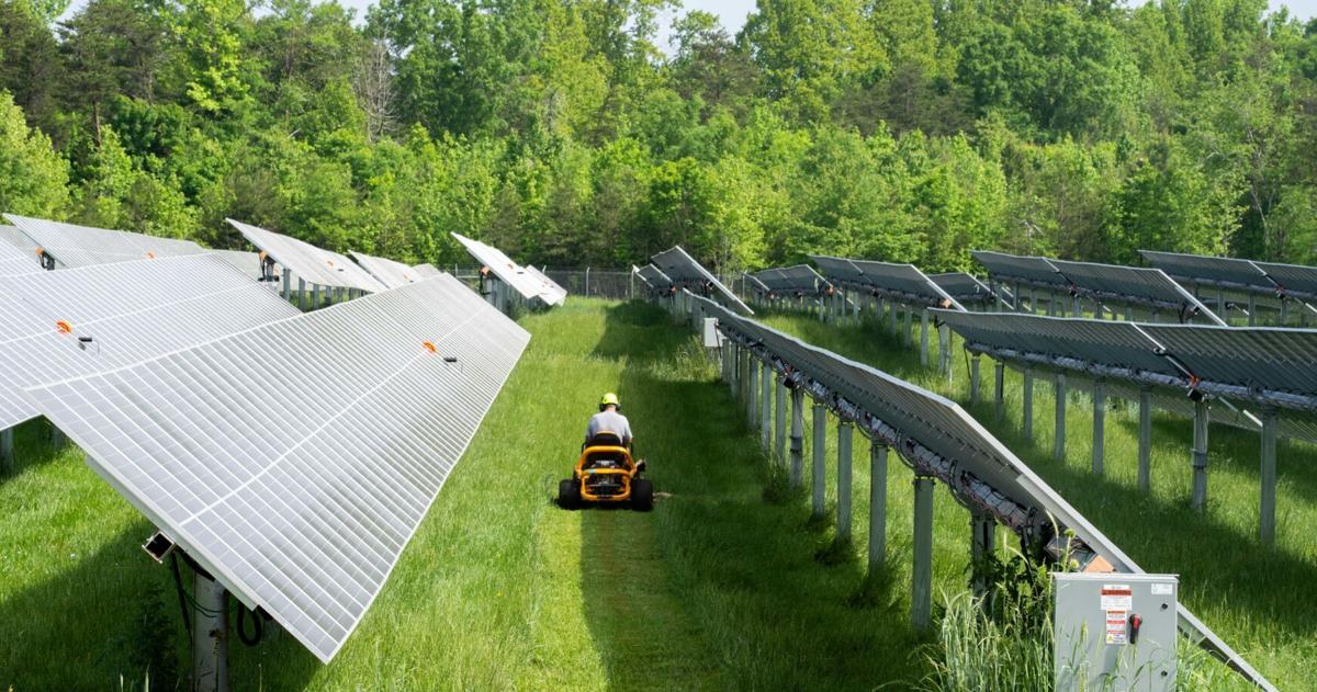 Column: Clean energy can thrive under Trump administration