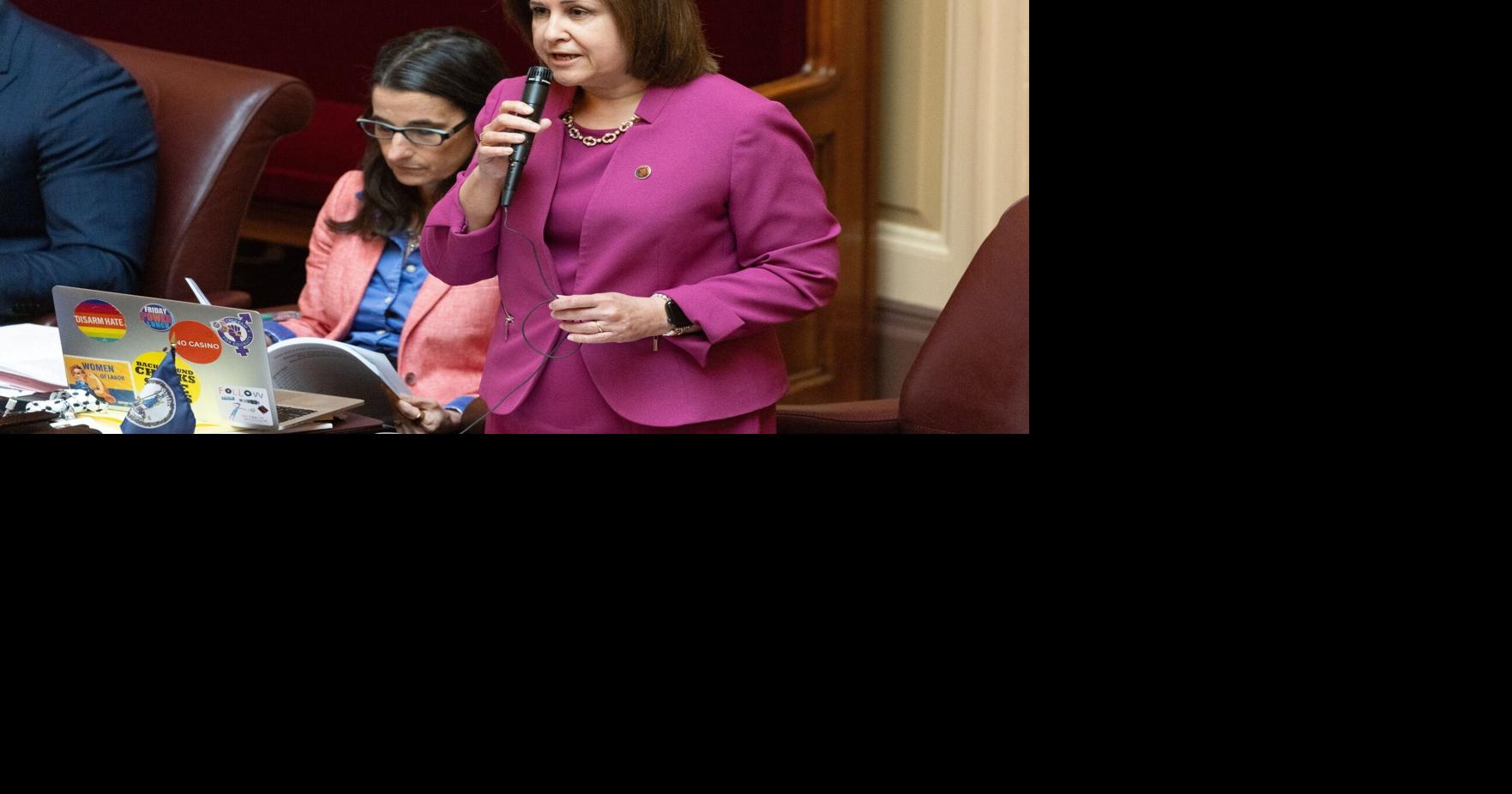 Chesterfield's Sen. Hashmi joins Democratic contest for LG