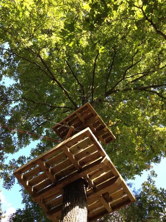 Zipline Now Open at Metro Richmond Zoo Recreation