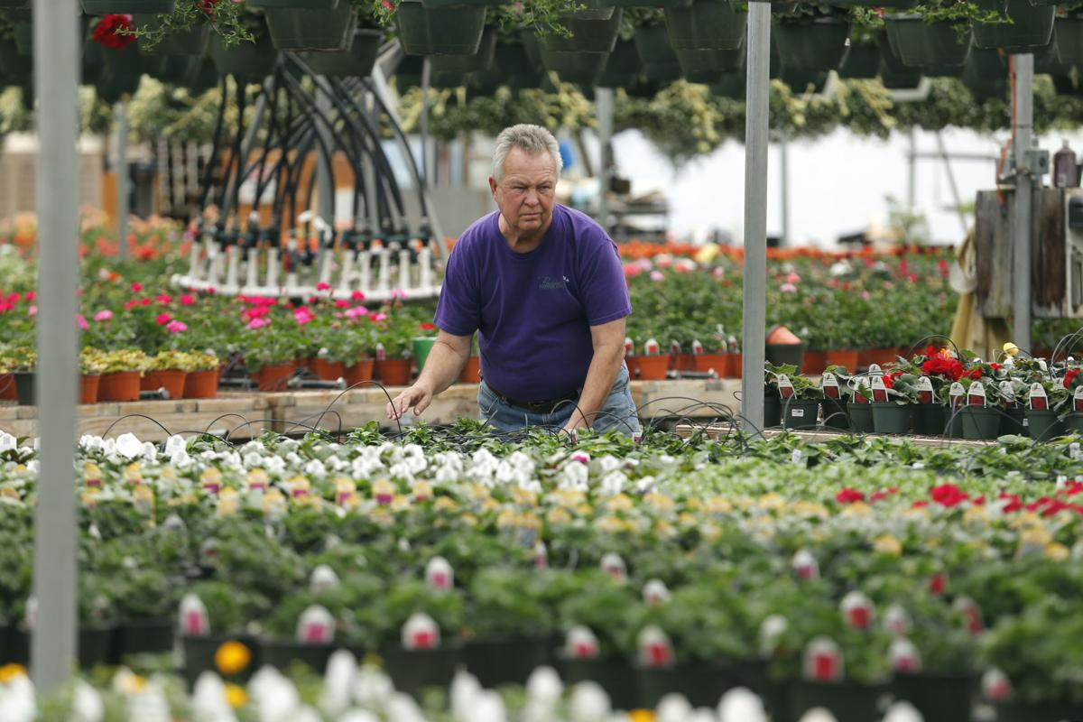 PHOTOS Independent garden centers Business News