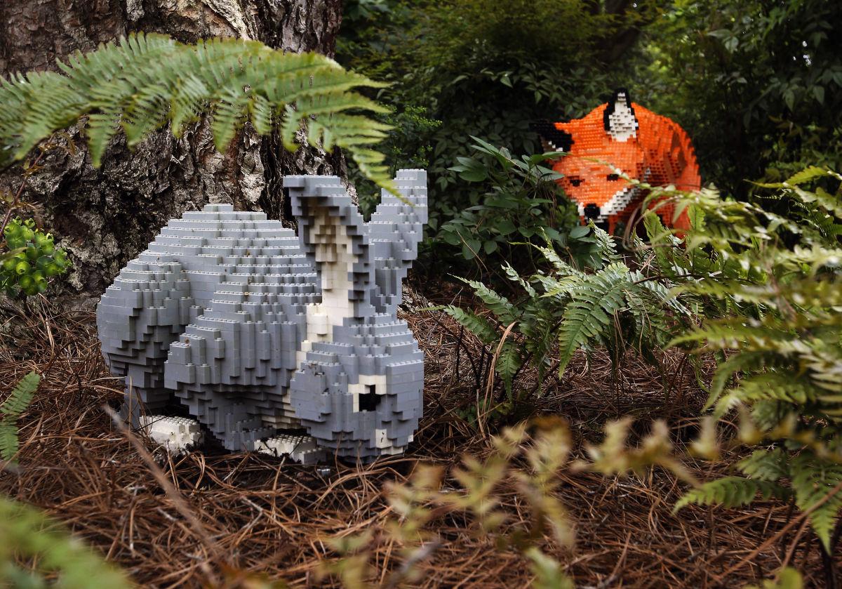museum of nature and science lego