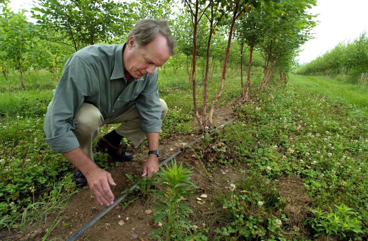 Watkins Nurseries 342 Acres In Chesterfield Powhatan And Amelia Watkins Nurseries 342 Acres In