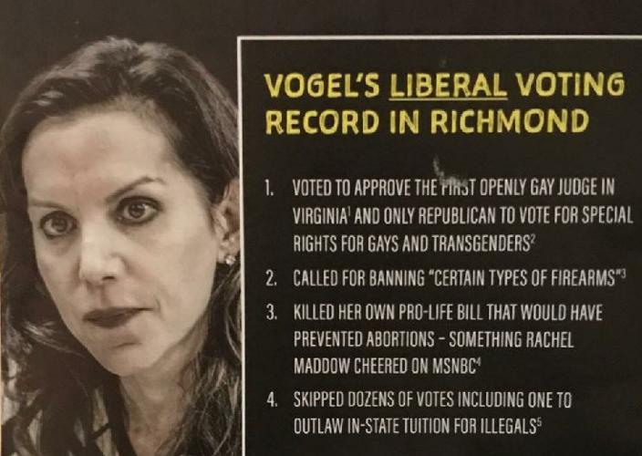 Bryce Reeves mailer attacking Jill Vogel