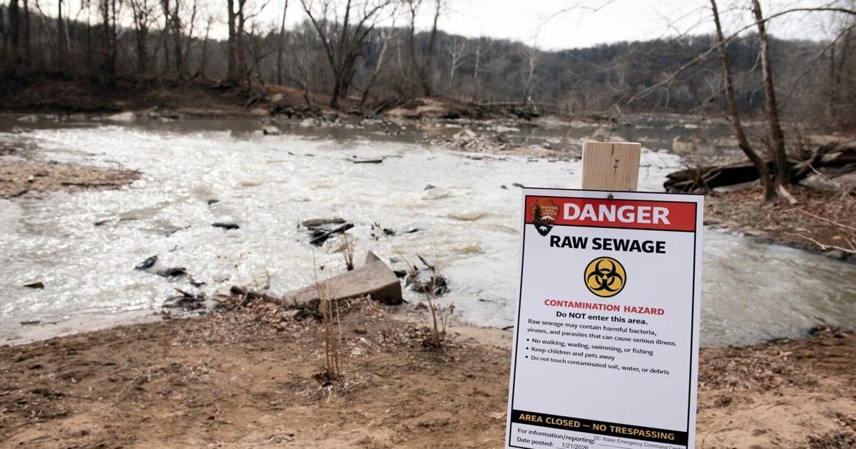 A Virginia boater is suing a Washington utility for the Potomac River sewage spill