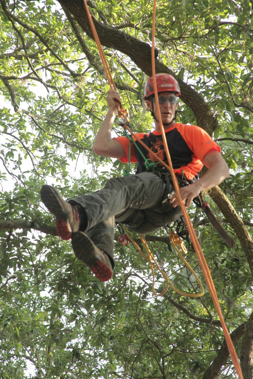 Virginia man is tree-climbing king | Business News | richmond.com