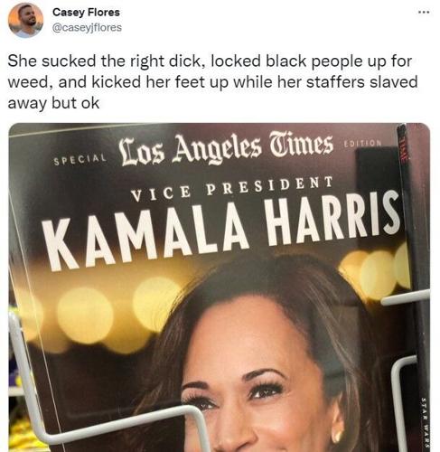 Youngkin appointee disparaged people online, made sexual reference about vice president Youngkin appointee disparaged people online, made sexual reference about vice president