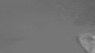 Dunn Willis Obituaries Richmond Com