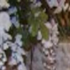 Thanksgiving Dinner To Go Entertainment Richmond Com