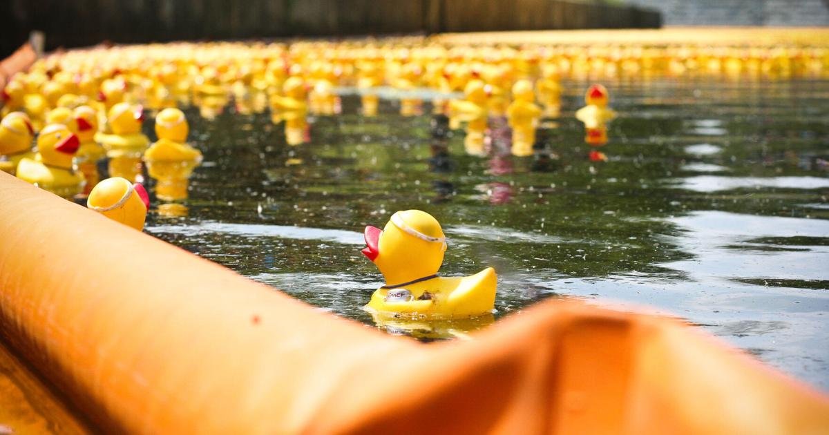 Top 5 weekend events RVA Duck Race, Down Home Family Reunion & The Shins