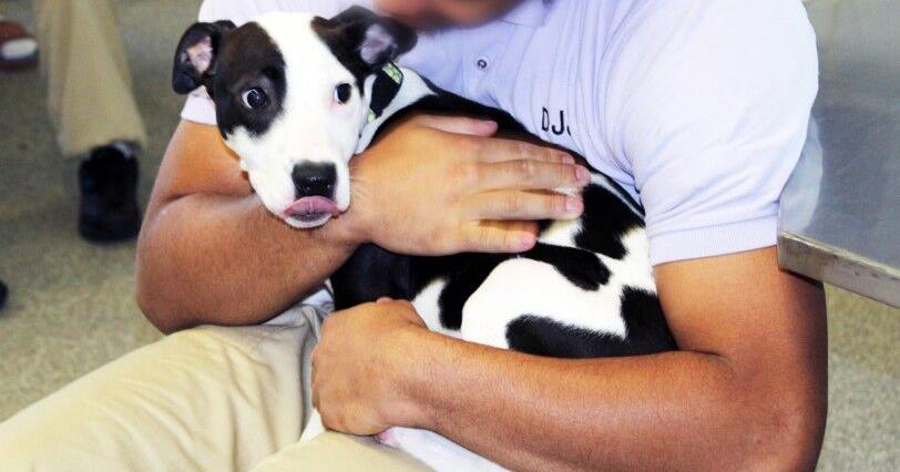 Dog days bring life at Bon Air Juvenile Correctional Center Aug 28, 2026