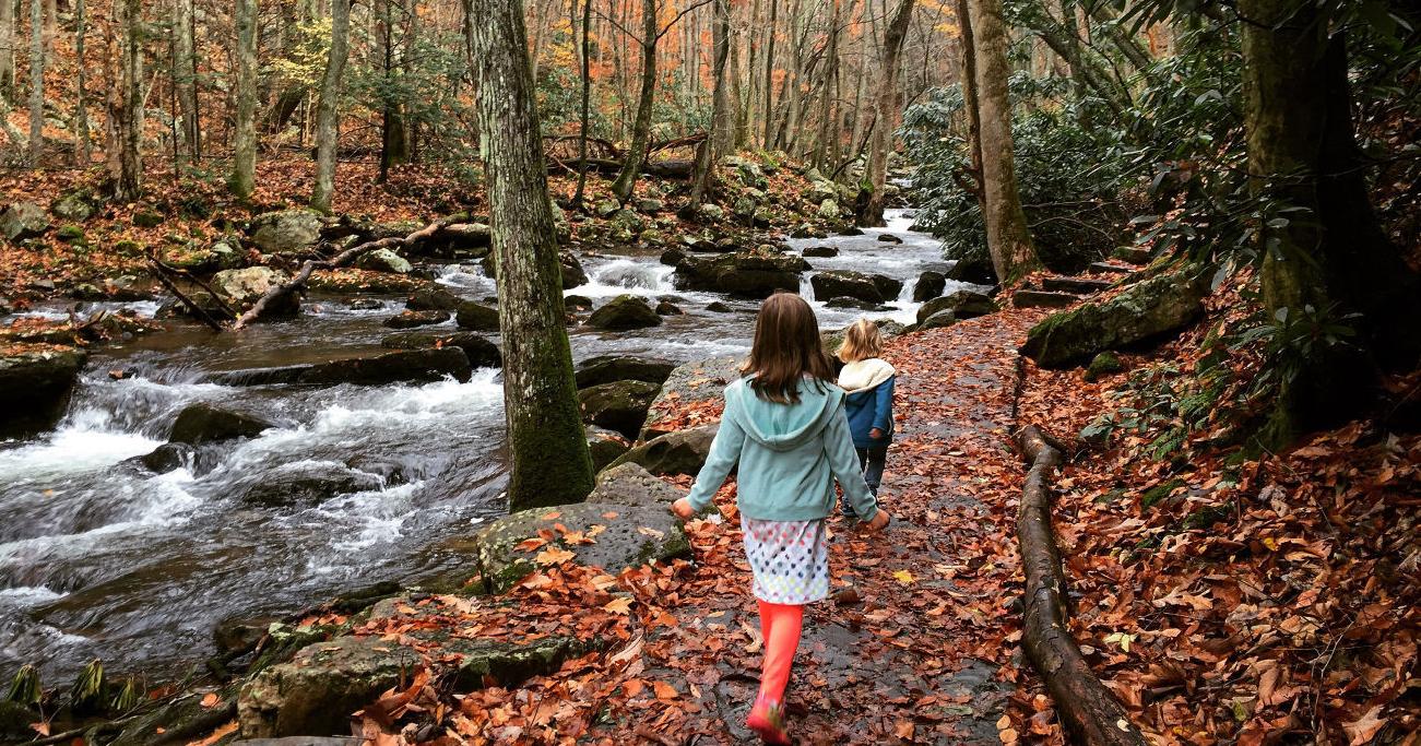 Hiking with the kids? Here are some tips - Vimarsana News