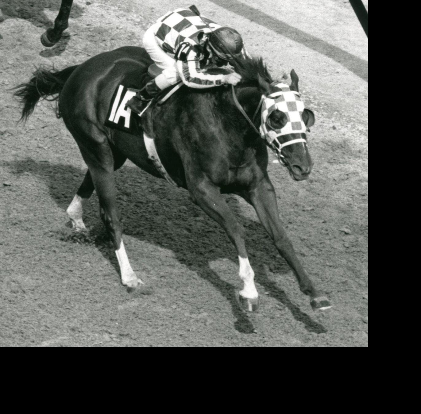Secretariat still amazes 50 years after his Triple Crown
