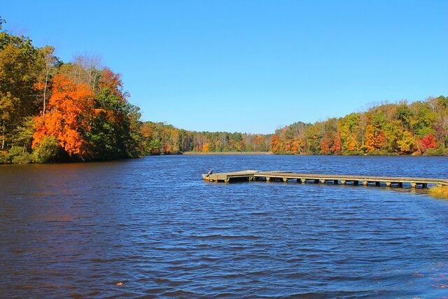 Fall at the Farmville 5