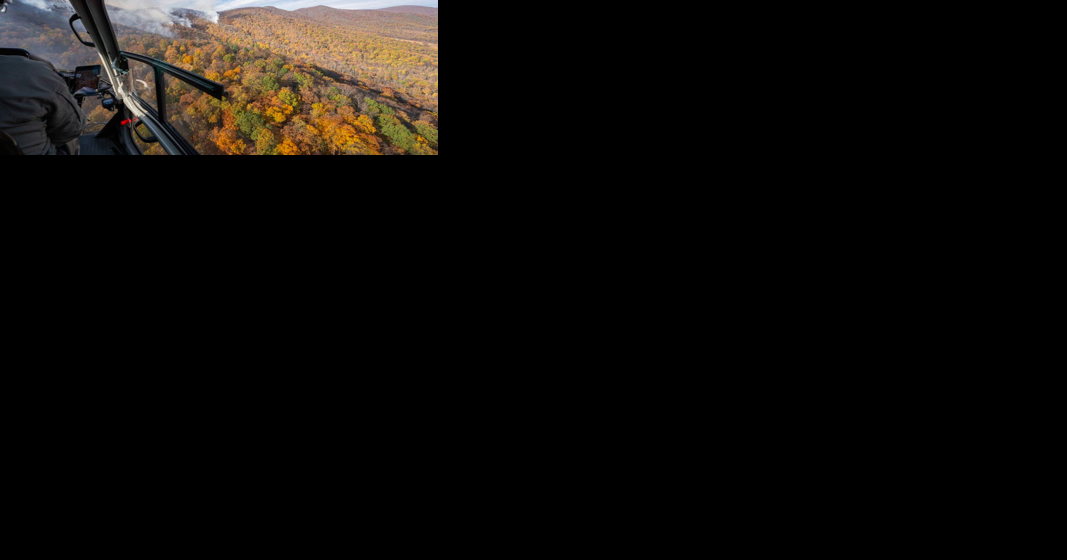 Wildfire breaches containment line, expands in national park - Vimarsana News