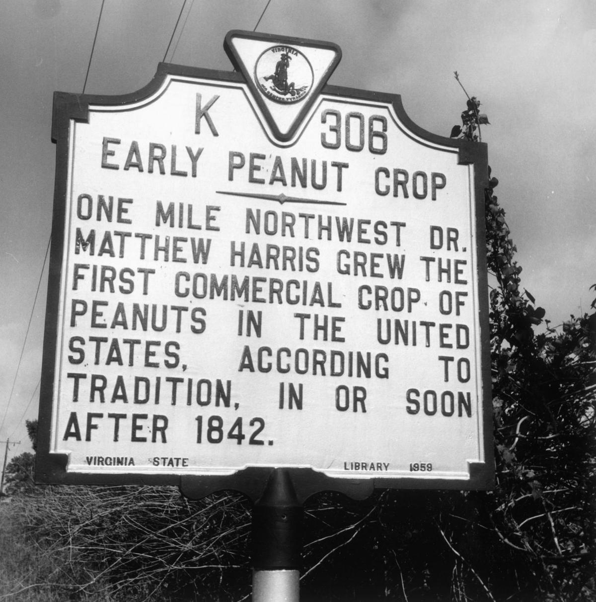 From the Archives Scenes from Virginia peanut farms From the