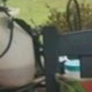 James Evelyne Obituaries Richmond Com