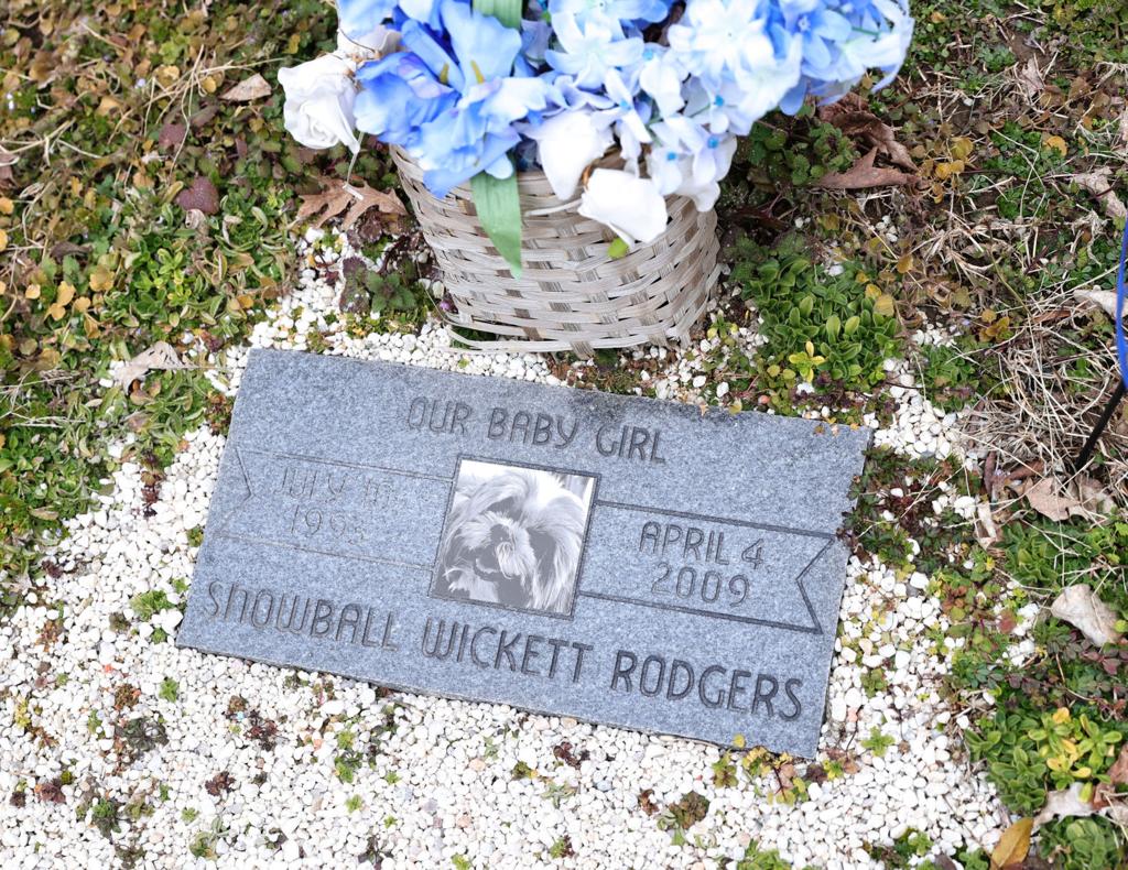 Lohmann: Deep in the heart of suburban Henrico, a pet ...