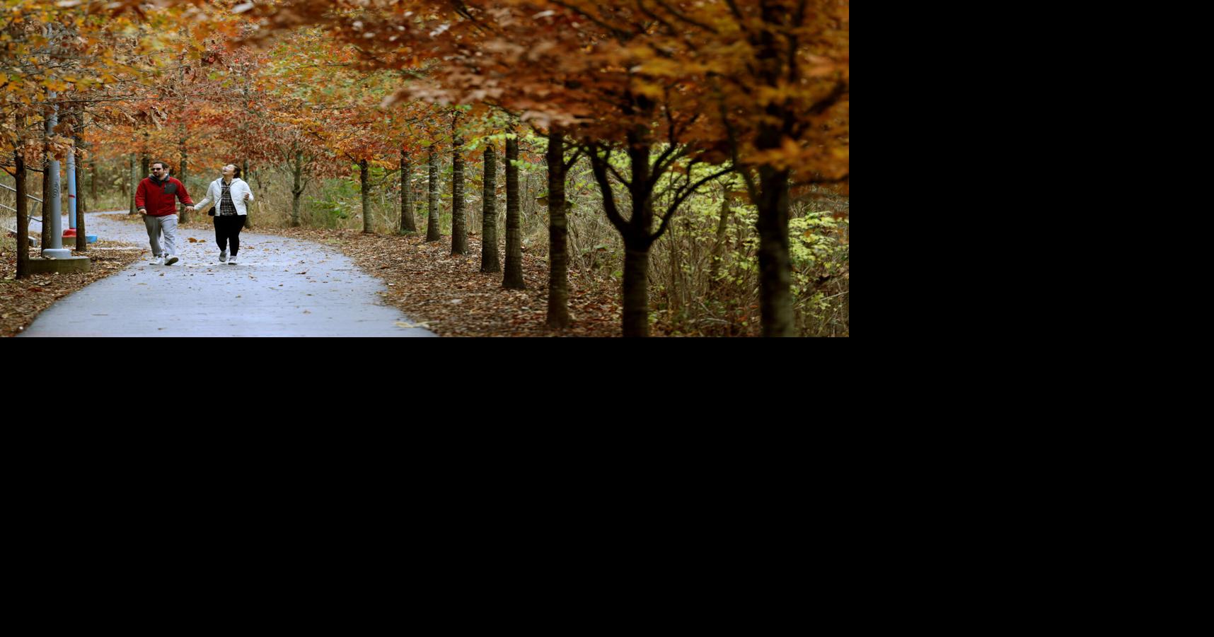 12 best places to see fall foliage in Richmond area