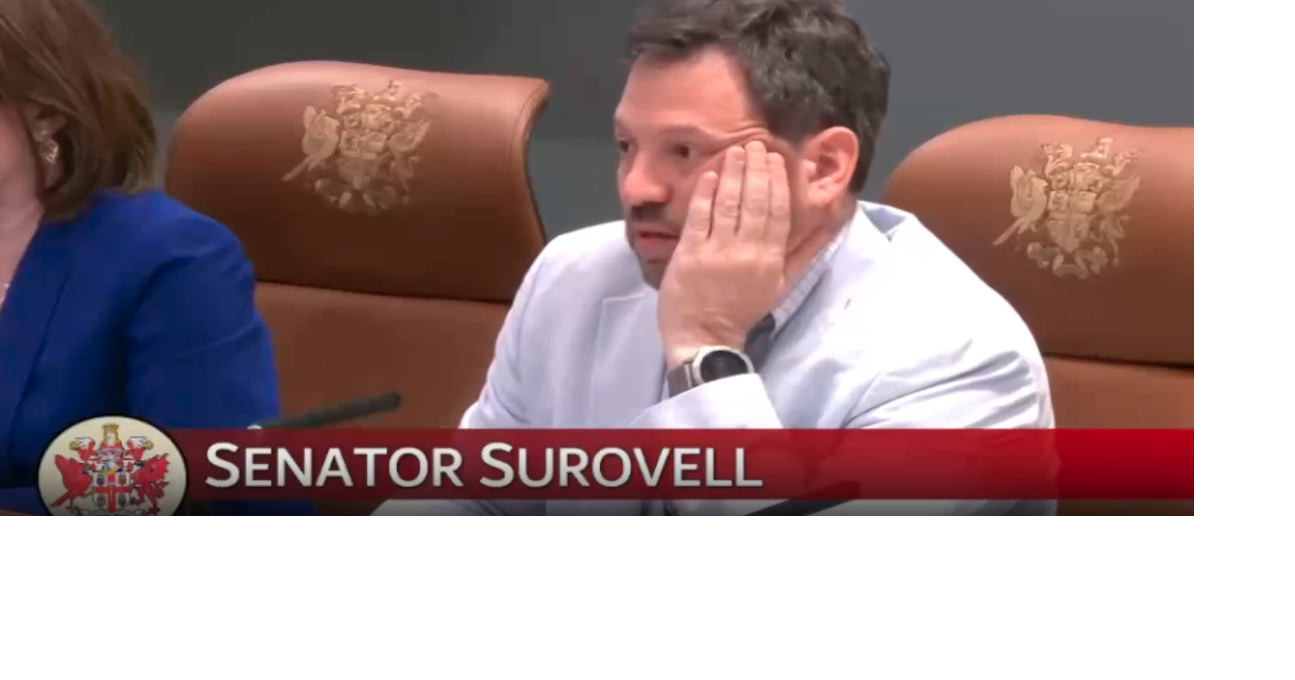 Image result for Virginia lawmakers seemed annoyed with gov over amendments