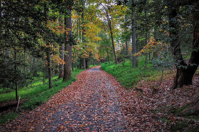 Favorite autumn hikes in Virginia