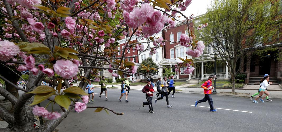 DATABASE Updated 2016 Monument Avenue 10K results