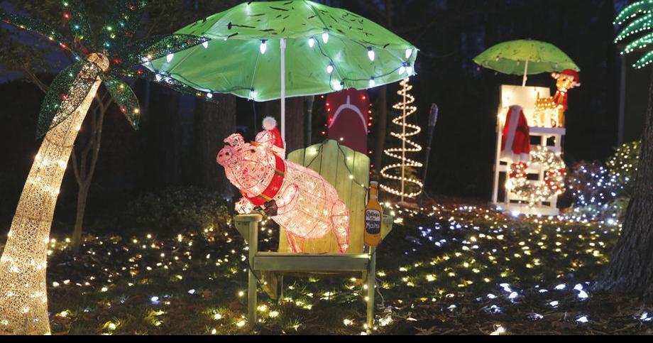 Tacky Lights at 12618 Dawnridge Court Midlothian