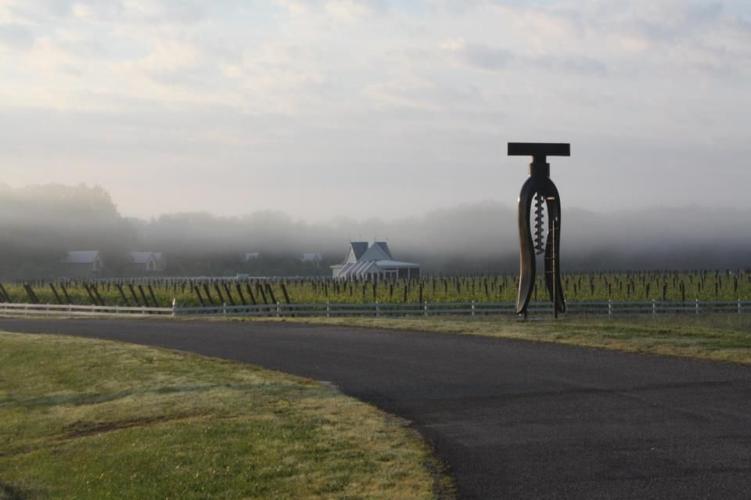 Welcome to the Dog and Oyster Vineyard!