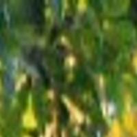 Discover The James Bald Eagle Tours Local Interest Richmond Com
