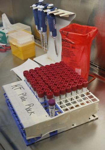 20200324_MET_COV_GENETWORX_JM01