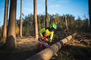 This everyday job has gotten deadlier over the past decade, data shows