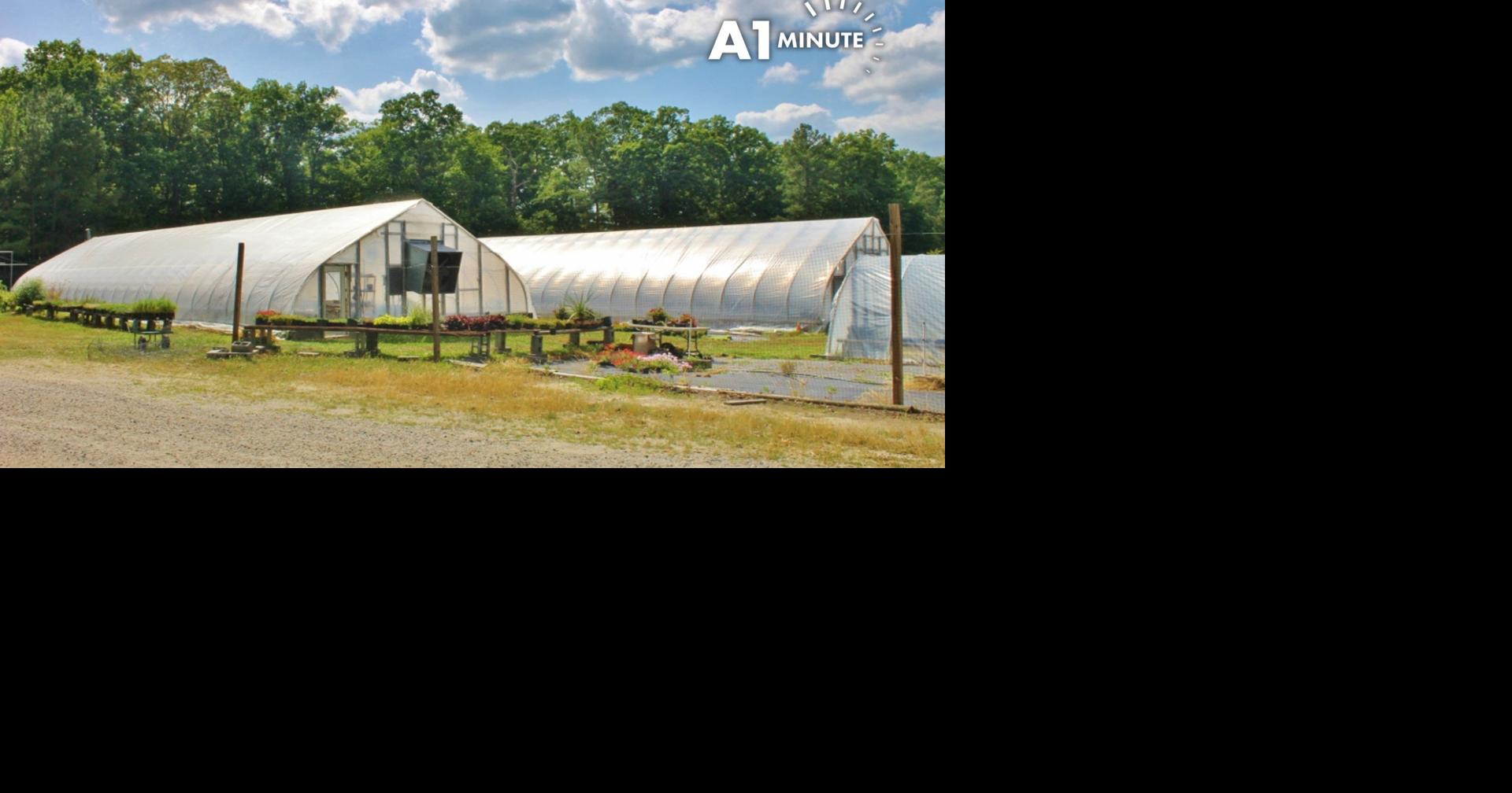 Goochland's Health Improvement Plan focuses on housing, mental health and elder support