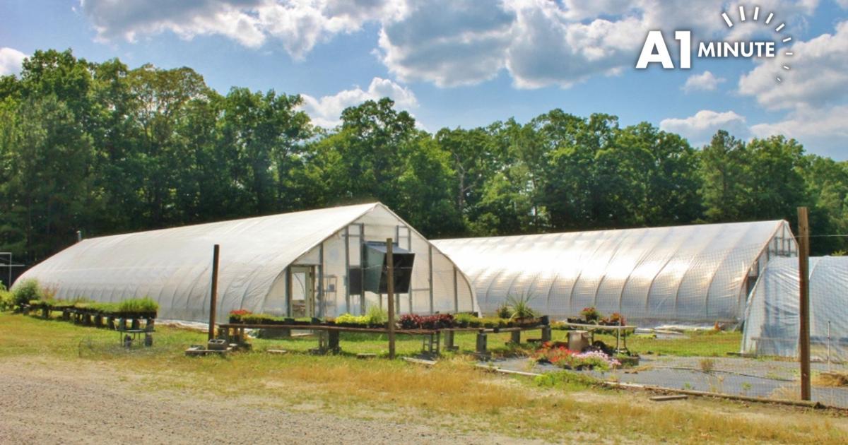 Goochland's Health Improvement Plan focuses on housing, mental health and elder support