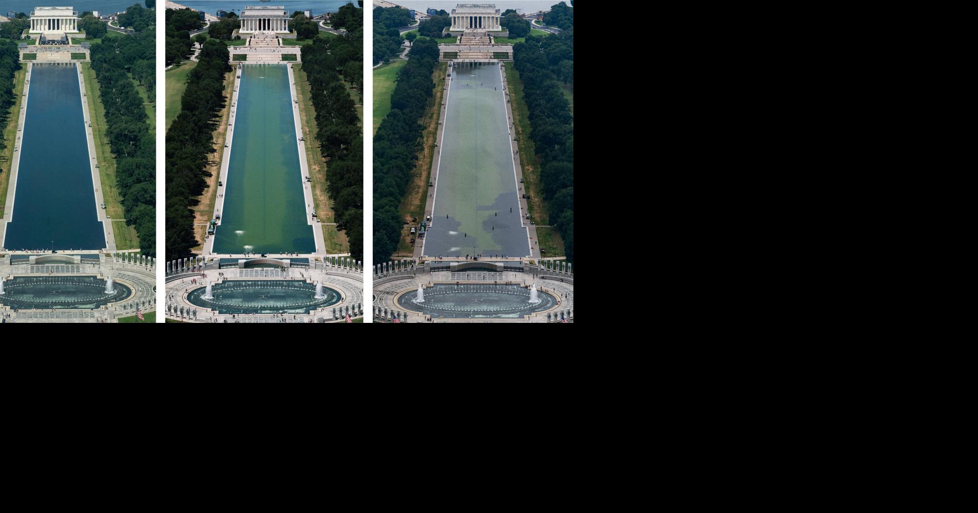 The paint is already peeling in Trump's renovated Washington Reflecting Pool Jun 19, 2026
