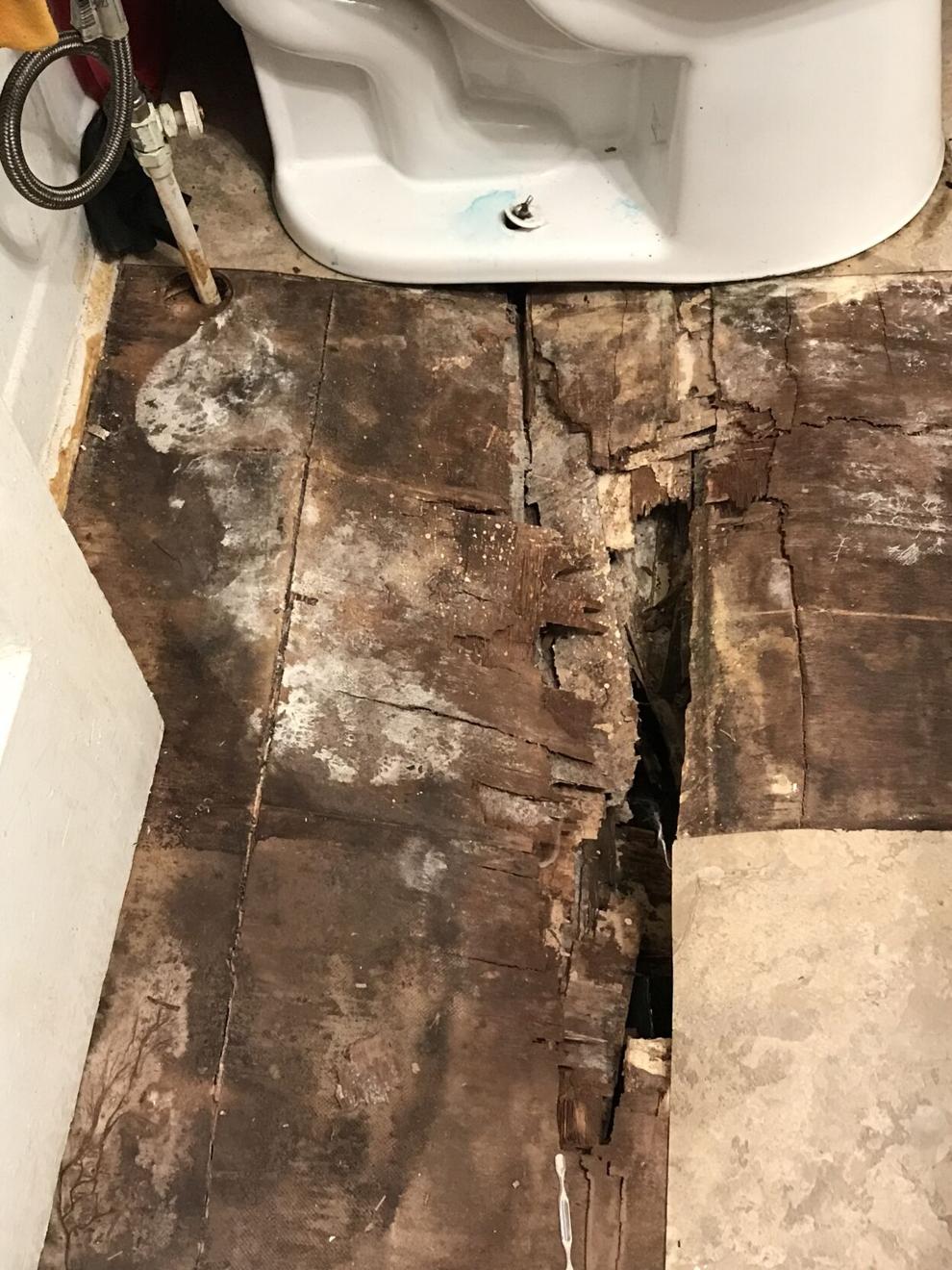 Henrico Tenants in complex live in hazardous conditions