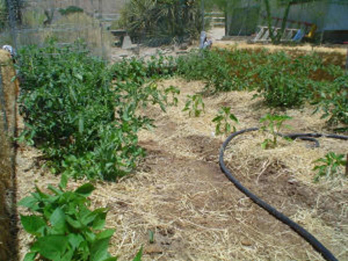 The Magic Of Mulch Richmond Com