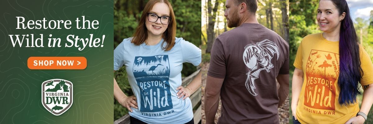 The Thrashers Top the 3rd Virginia Birding Classic