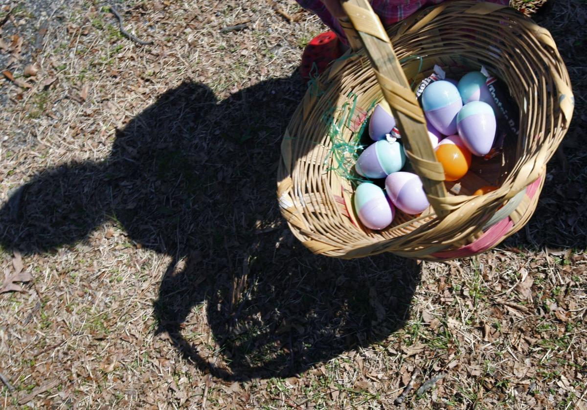 EGGG05D