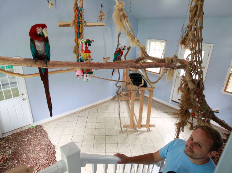 Parrot sanctuary Richmond Latest News