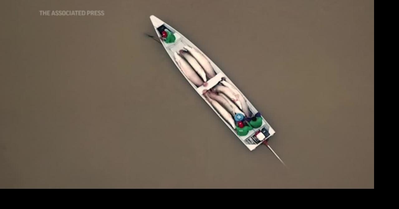 The Amazon’s largest fish makes a comeback