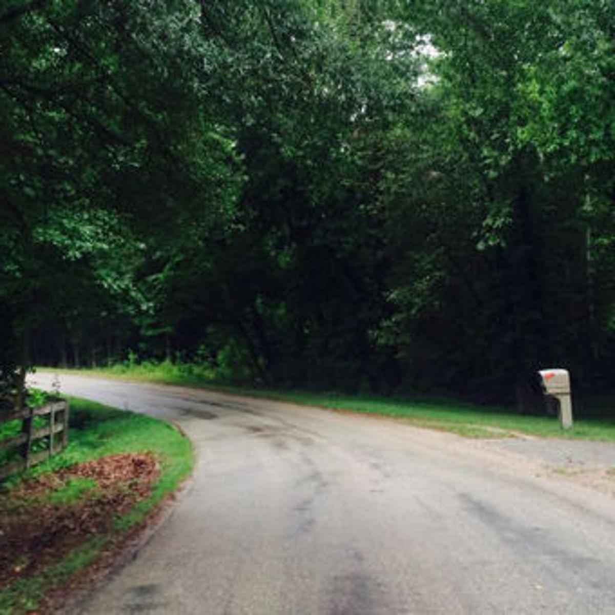 Street Beat Vdot Tree Limb Policy Isn T Cut And Dried Richmond Local News Richmond Com Street Beat Vdot Tree Limb Policy Isn T Cut And Dried Richmond Local News Richmond Com