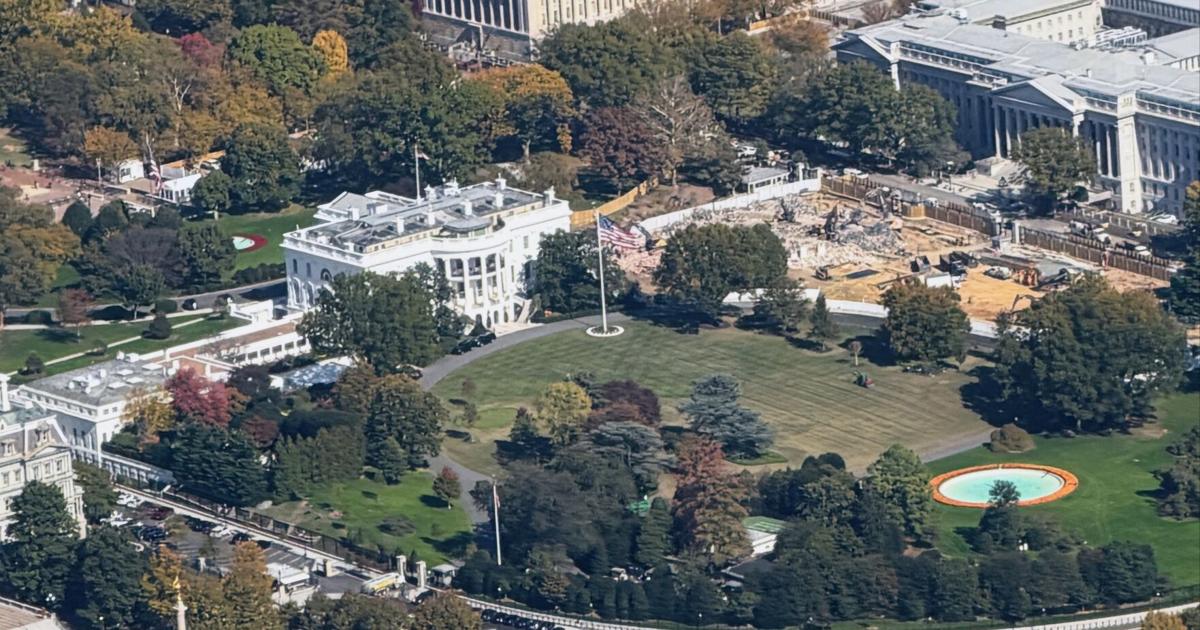 Michael Paul Williams: East Wing rubble mirrors America demo