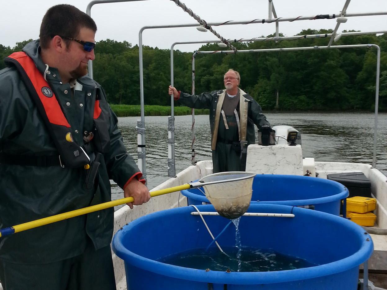 Clarkson Stocking The Chickahominy Makes A Good Thing Better Local Richmond Com