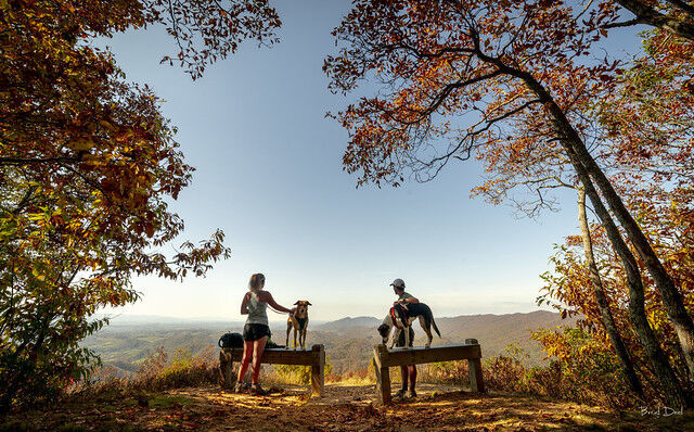Pets at Virginia State Parks